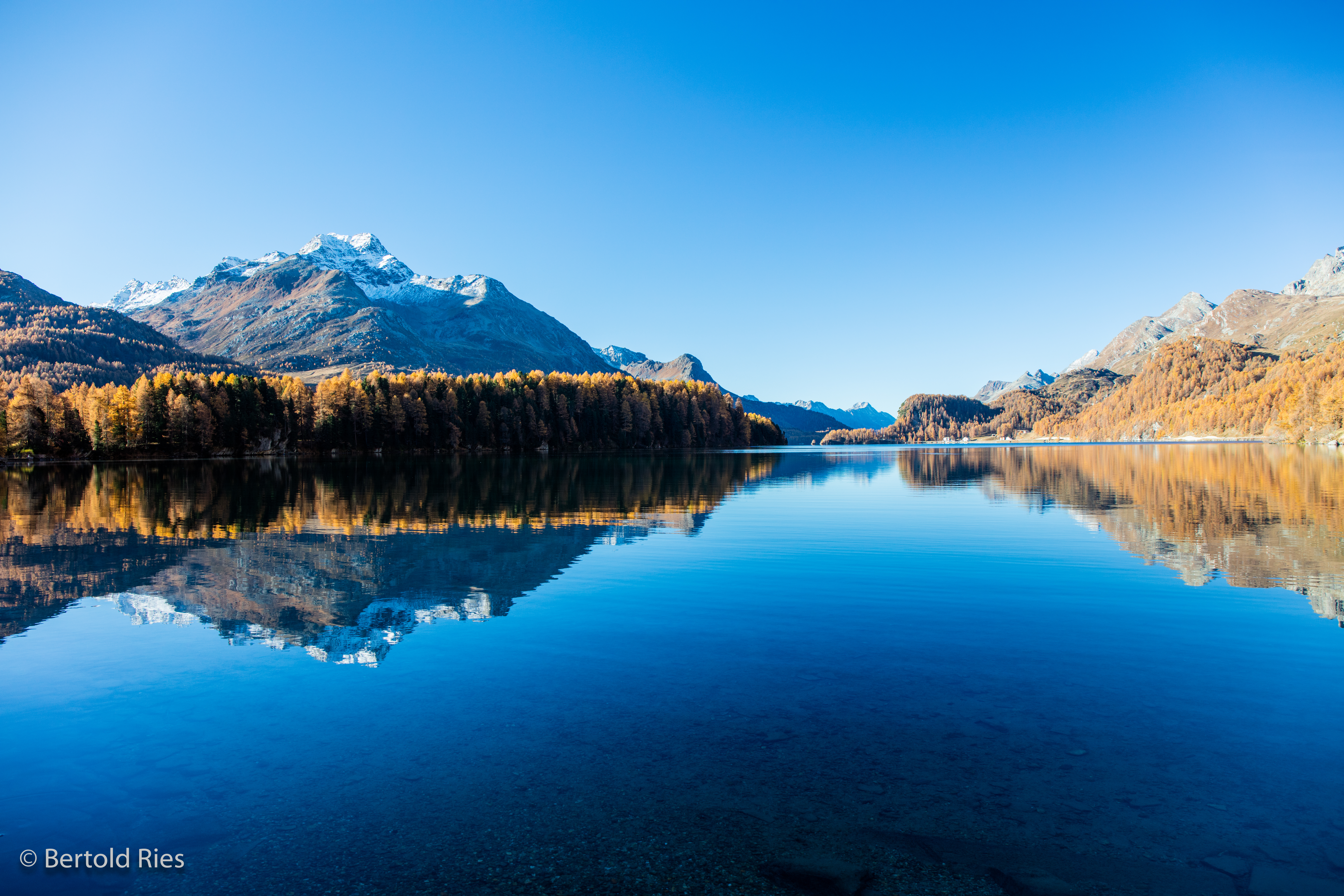 Golden Engadin