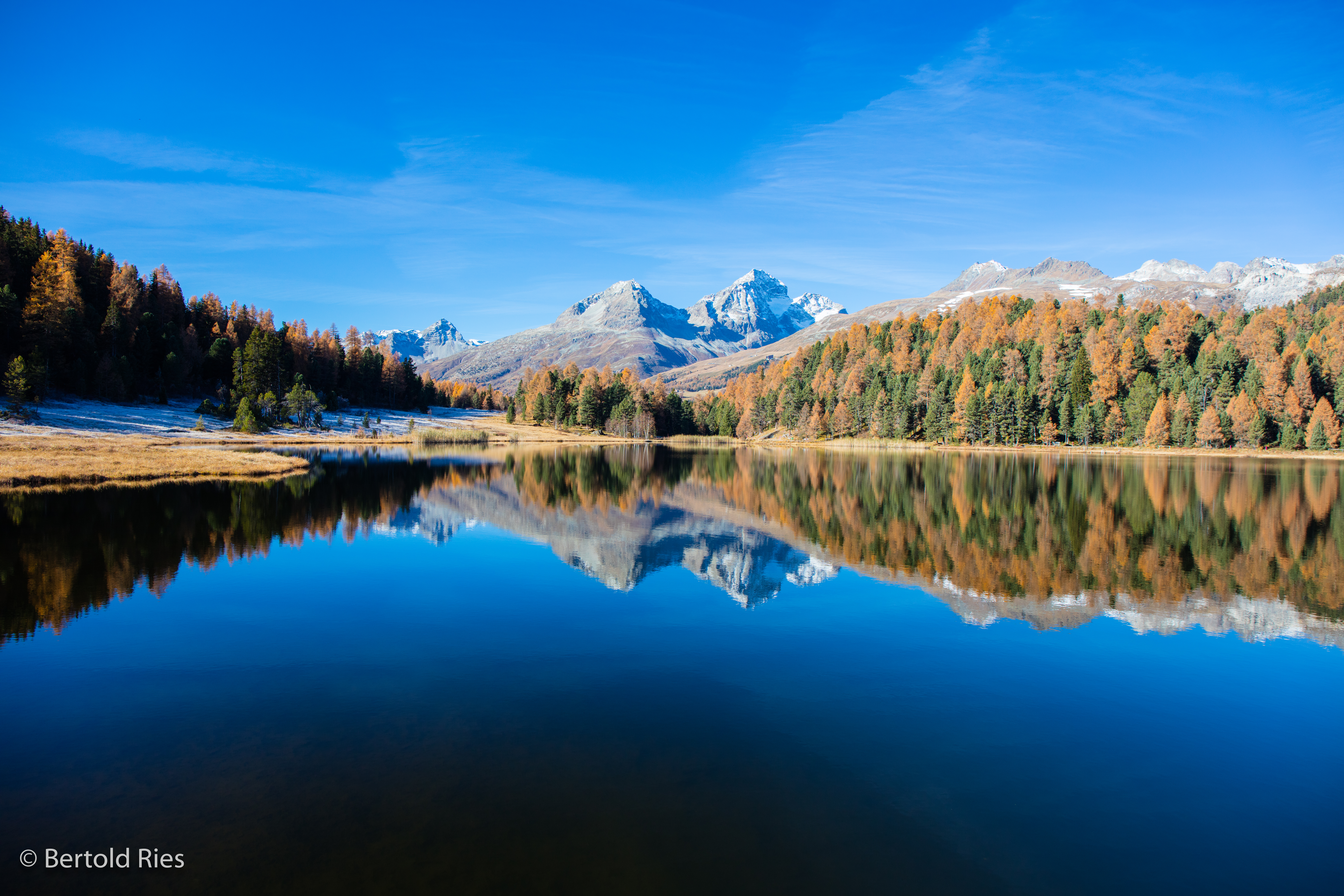 Golden Engadin