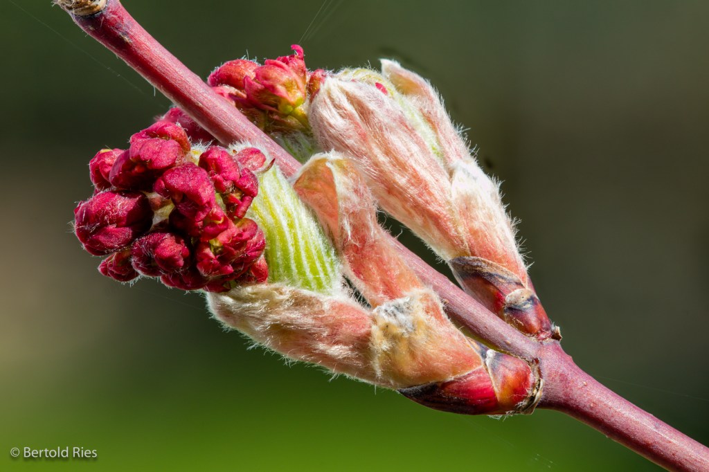 Springtime … Yeah!