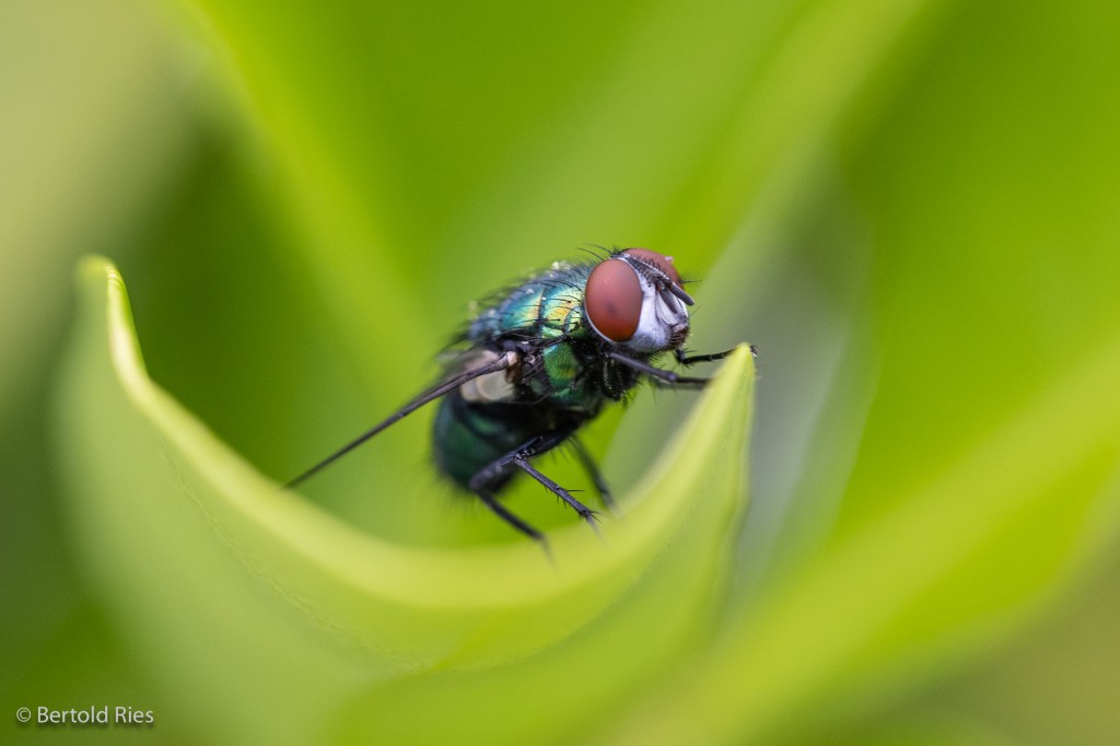 World Photography Day&nbsp;2021