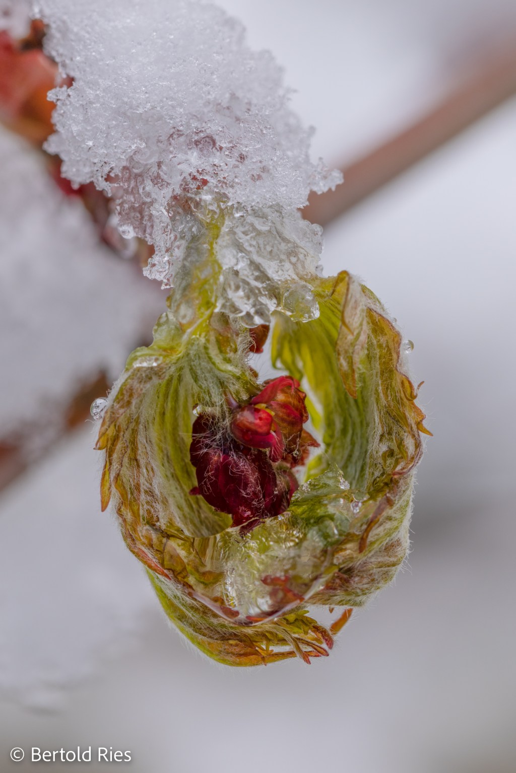 Merry Christmas and Happy&nbsp;Holidays!