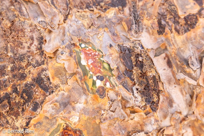 Frankincense World Heritage Site, Dhofar, Oman