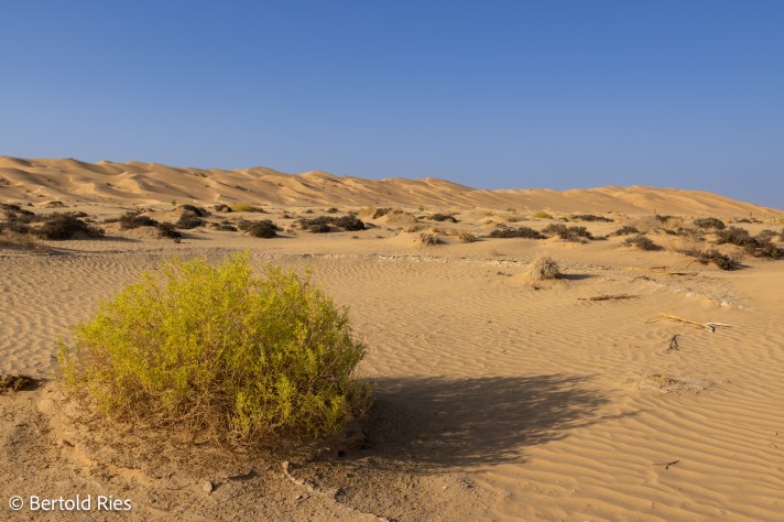 Rub al-Kahli Desert, Oman