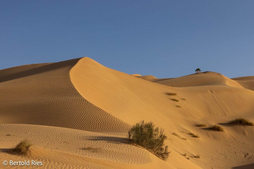Rub al-Kahli Desert, Oman