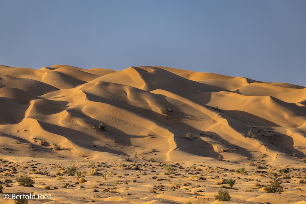 Rub al-Kahli Desert, Oman