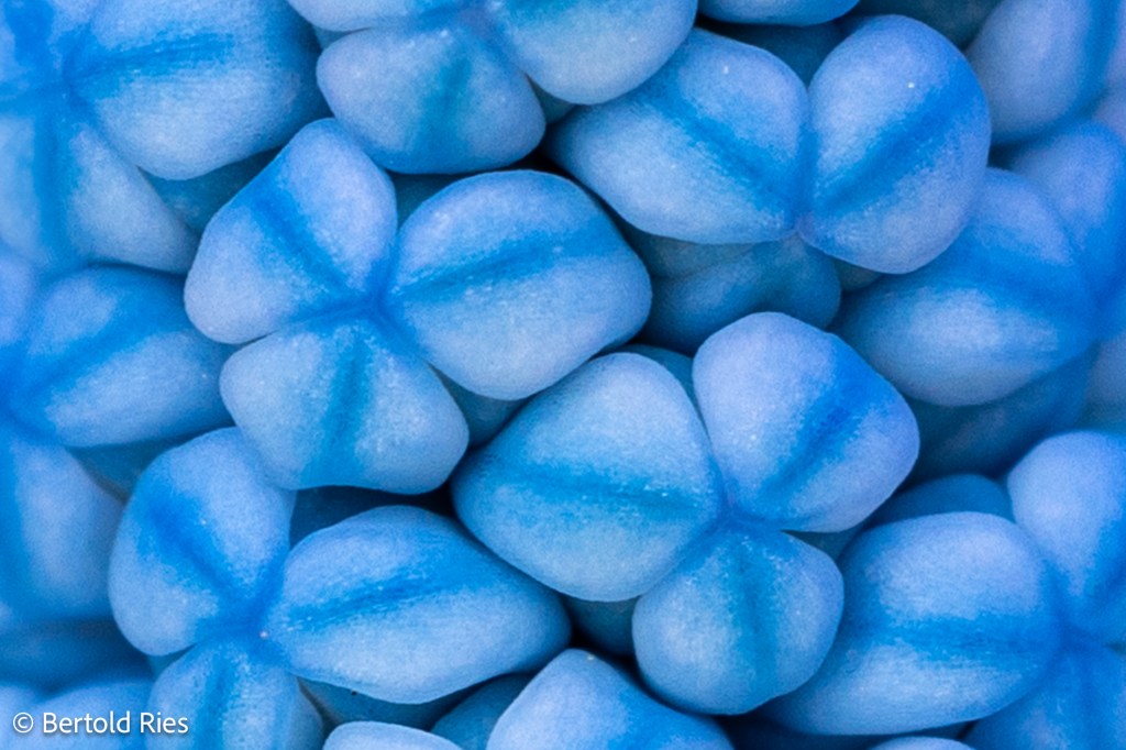 Let’s go a bit abstract&nbsp;…