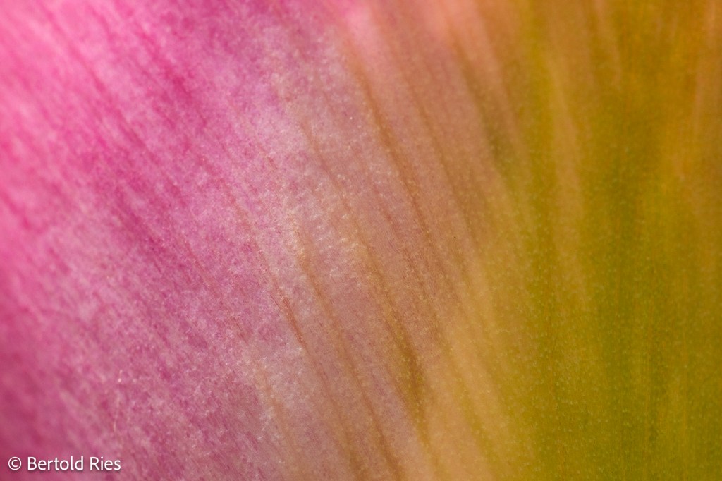 Let’s go even more&nbsp;abstract!